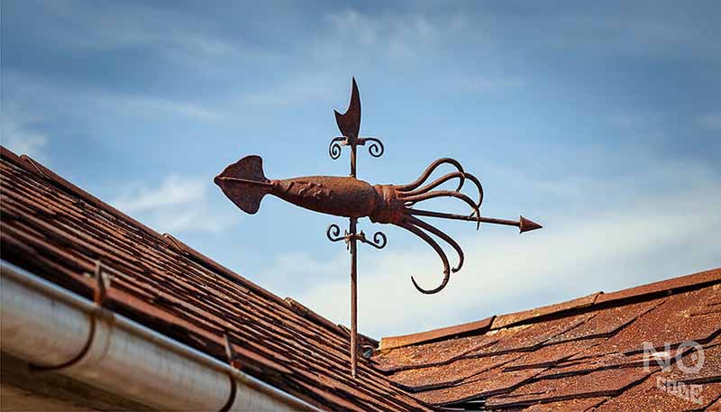 風見鶏になったイカ