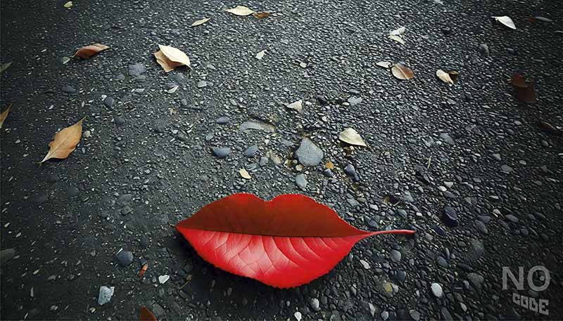 くちびるの落ち葉