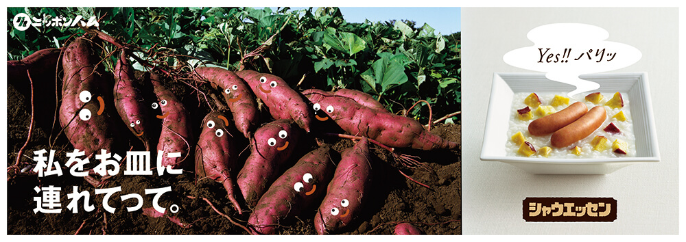 シャウエッセン雑誌広告