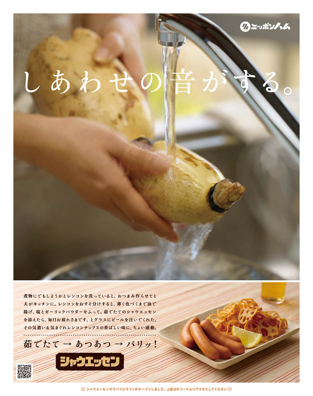 きゅうりの画像