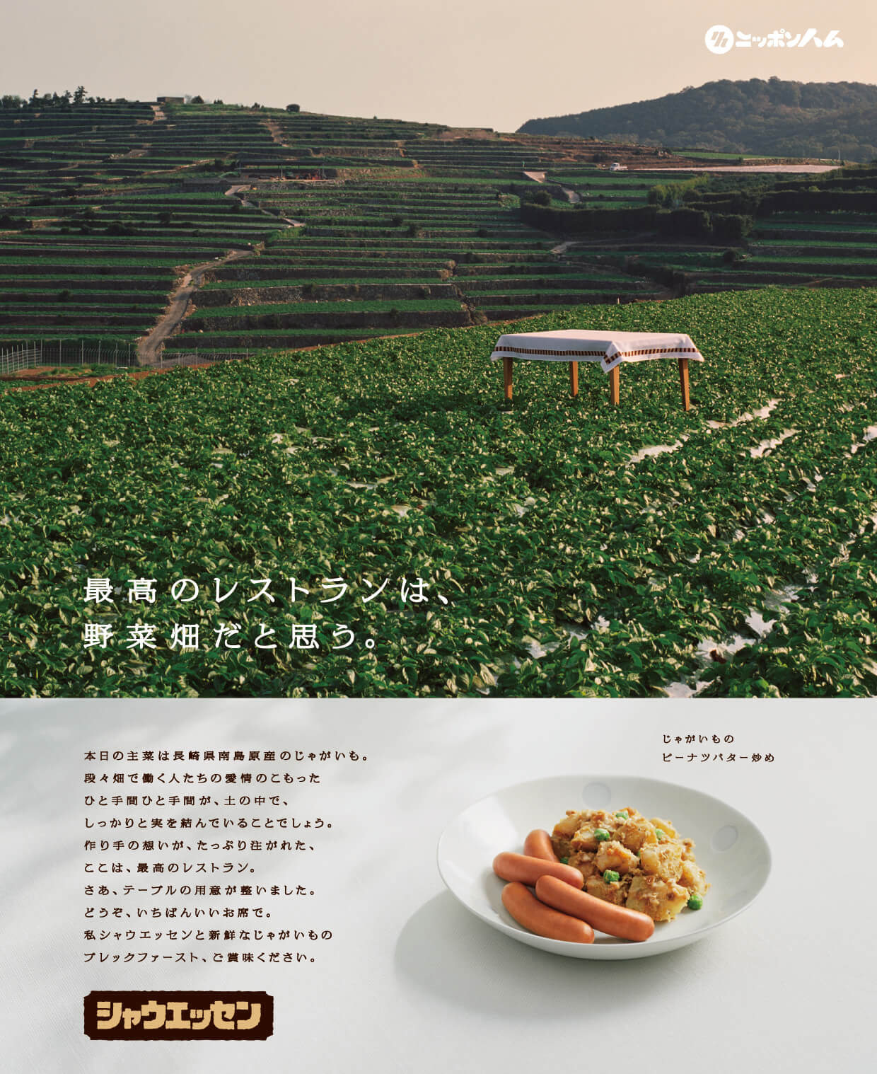 じゃがいも畑の画像