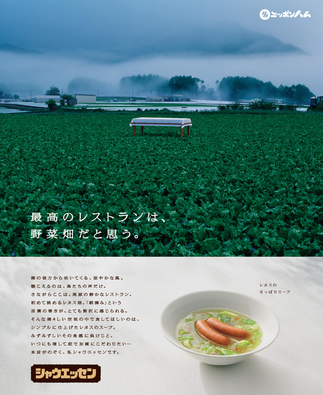 レタス畑の画像