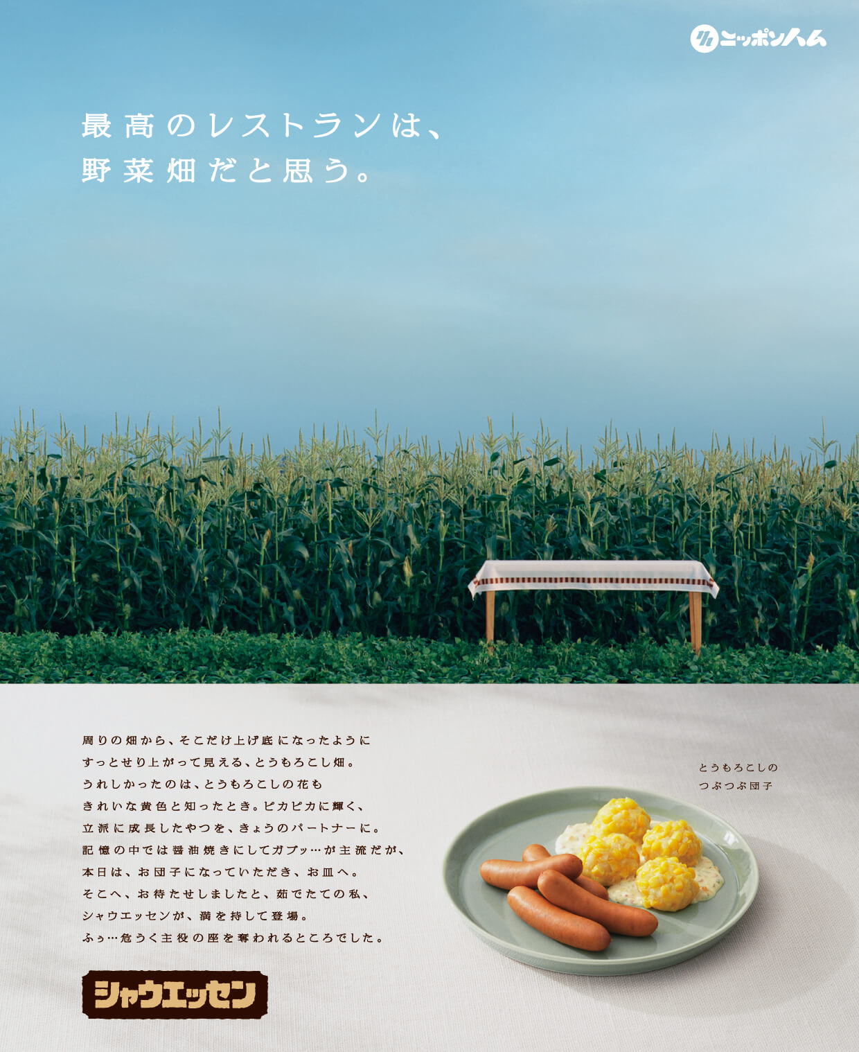 とうもろこし畑の画像