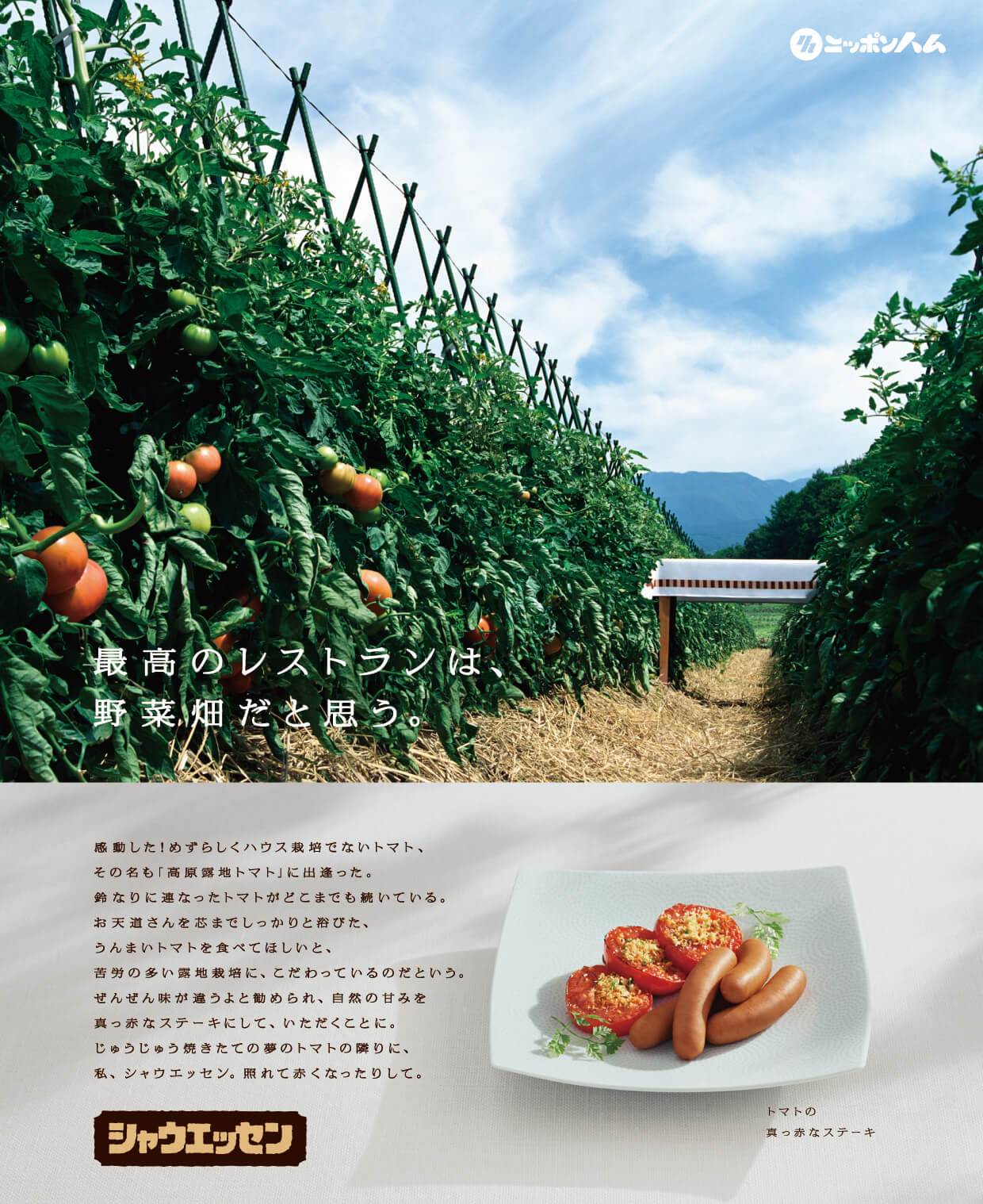 とまと畑の画像