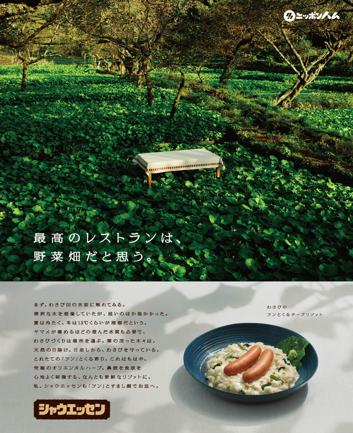 わさび畑の画像