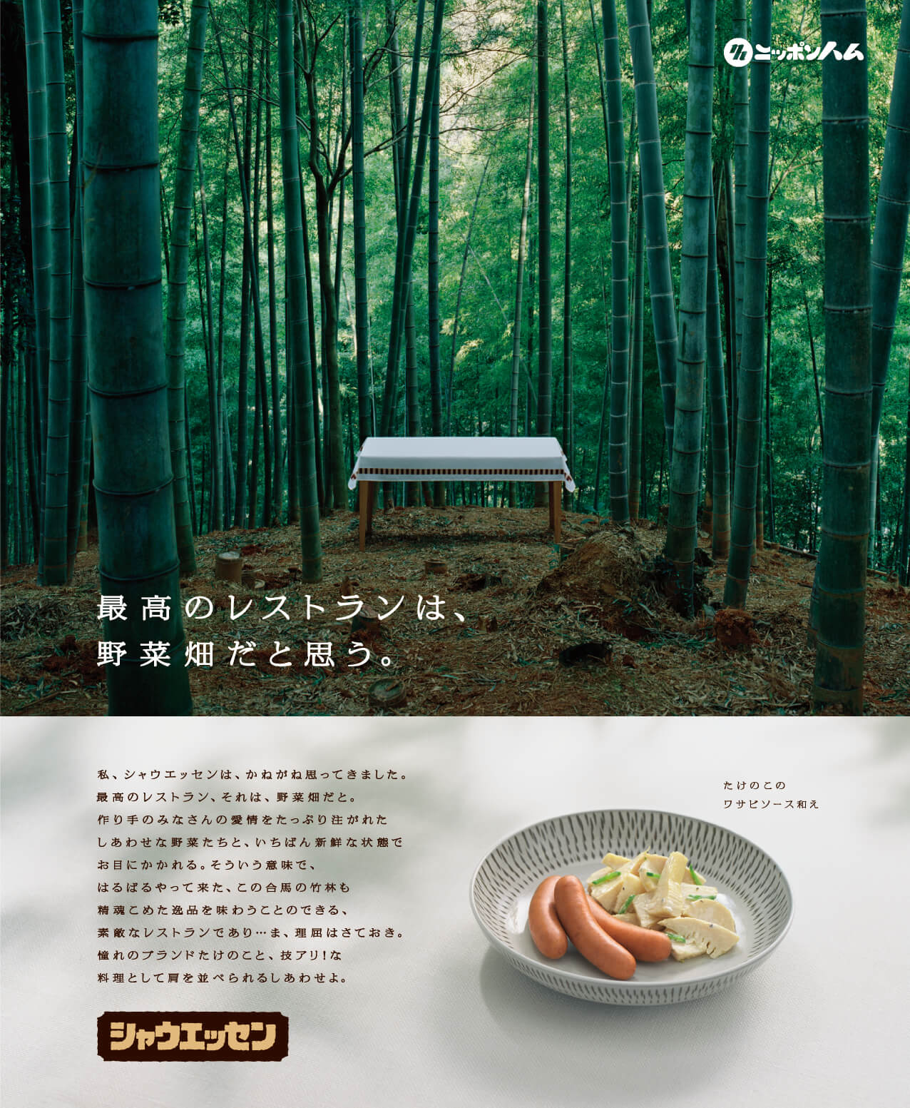 たけのこ畑の画像